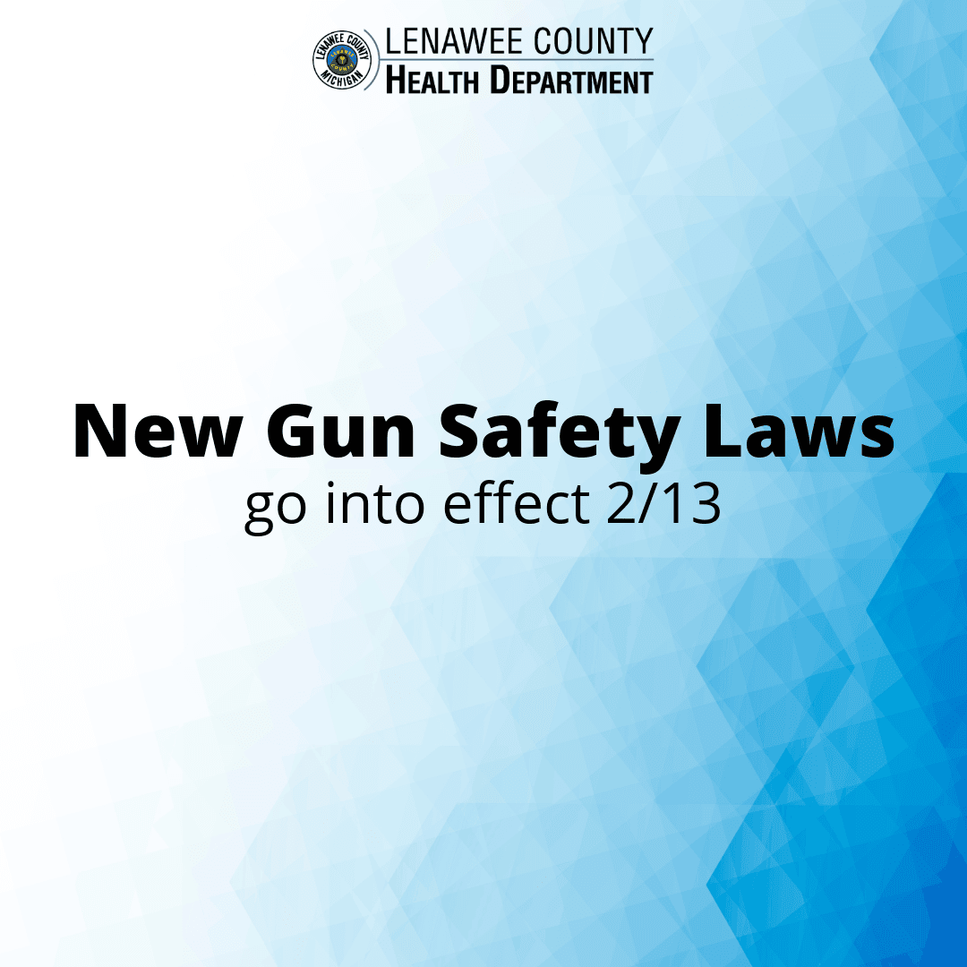 new gun safety laws