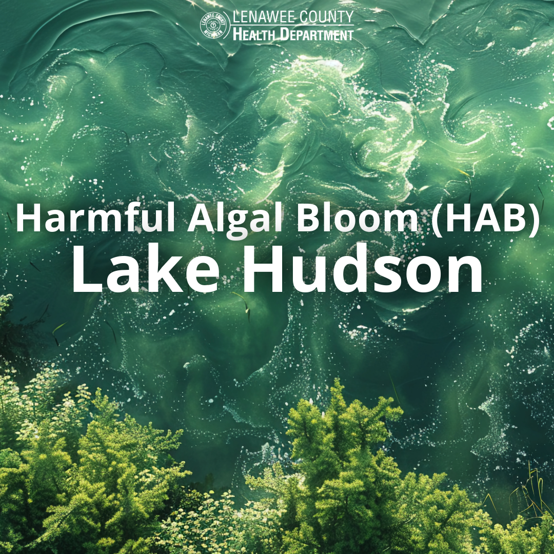 HAB Lake Hudson
