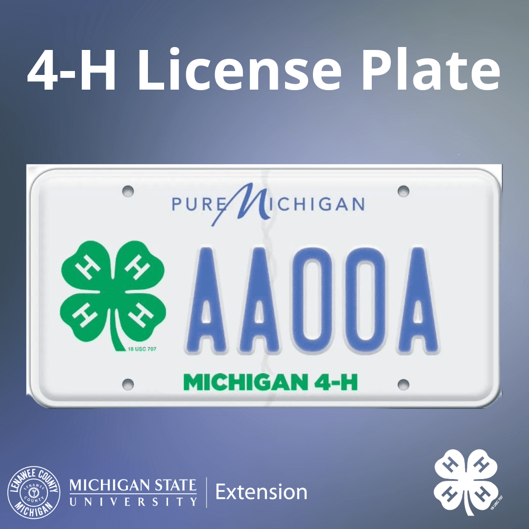 4H License Plate