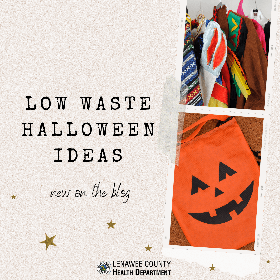 low waste halloween
