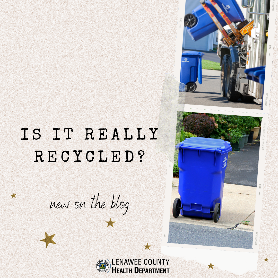 holiday Gift Guide (27)