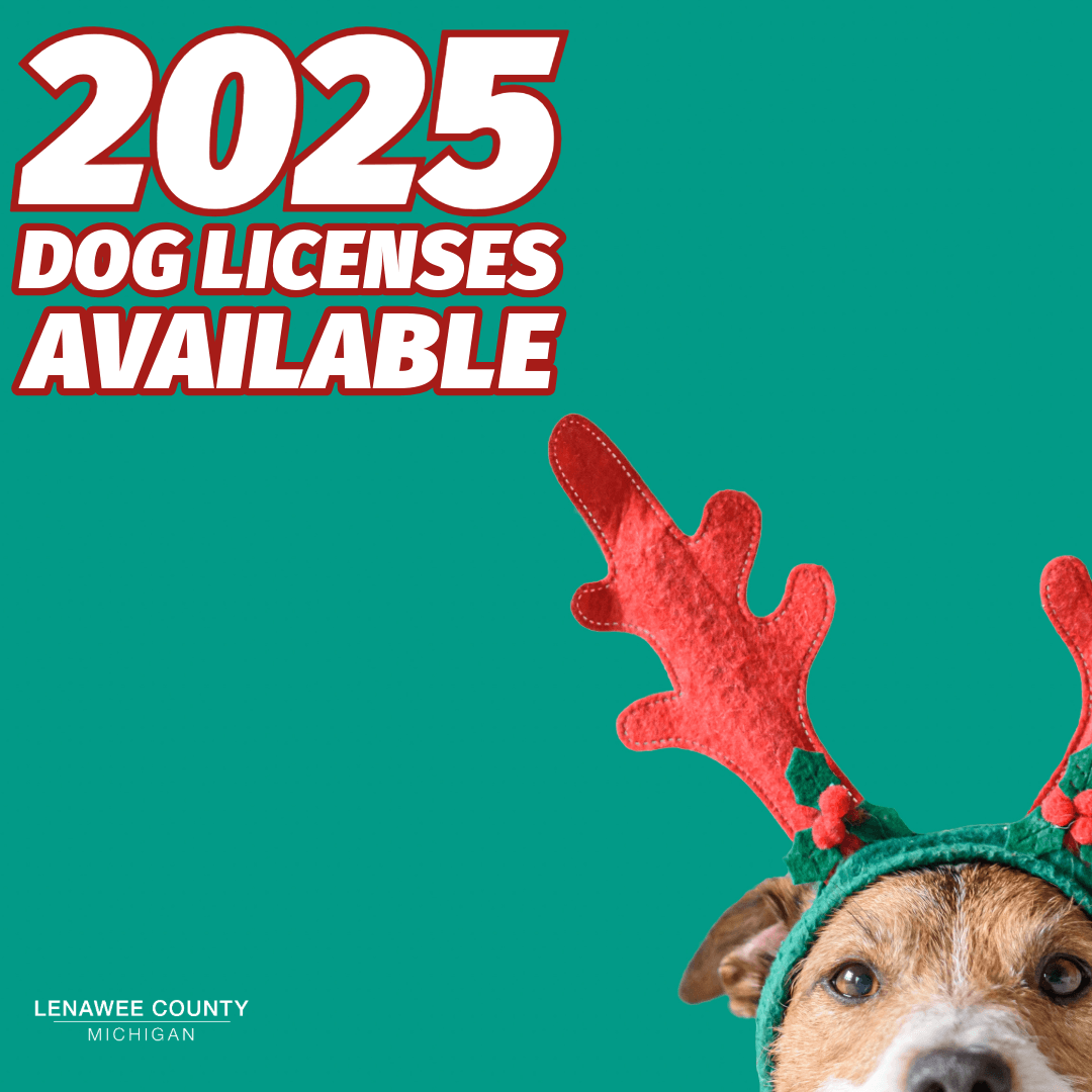2025 Dog Licenses