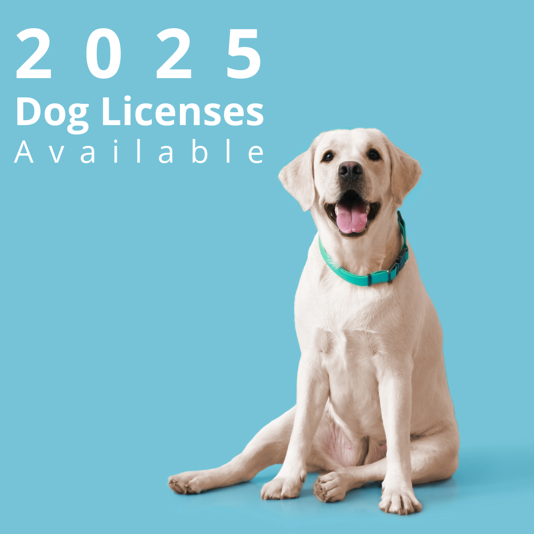 2025 Dog Licenses