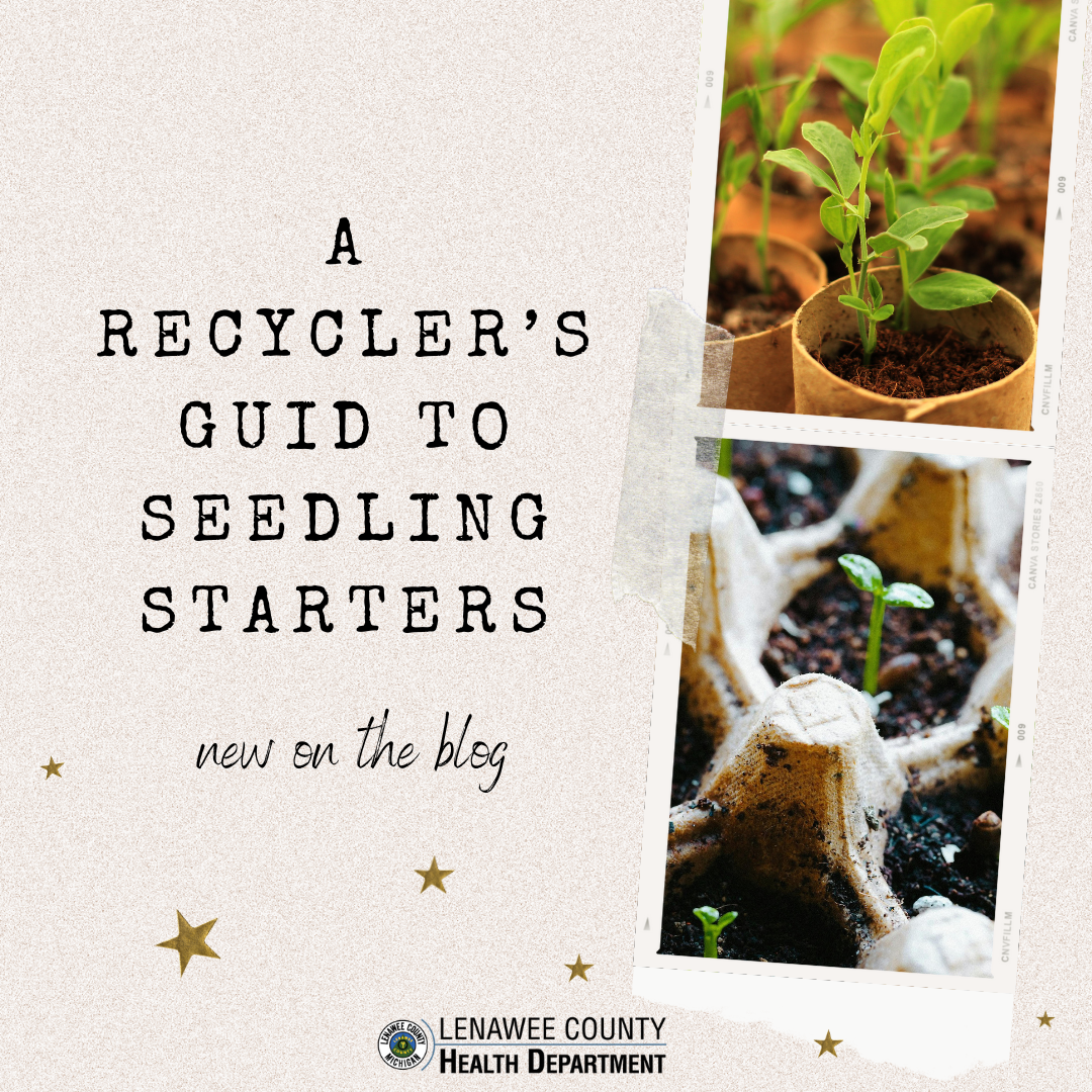 new on the blog seedling starters