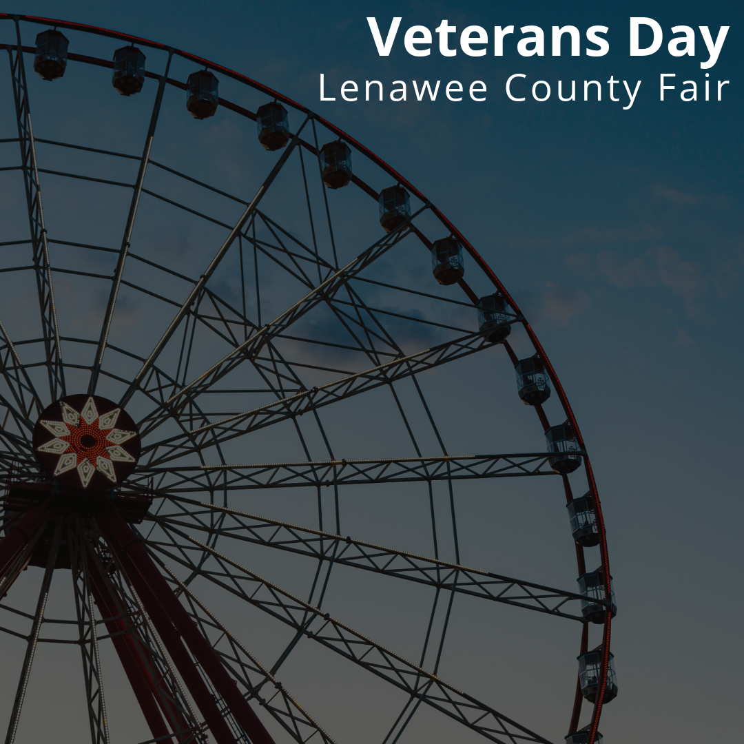 Veterans Day Fair