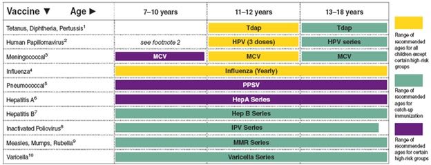 Vaccine schedule