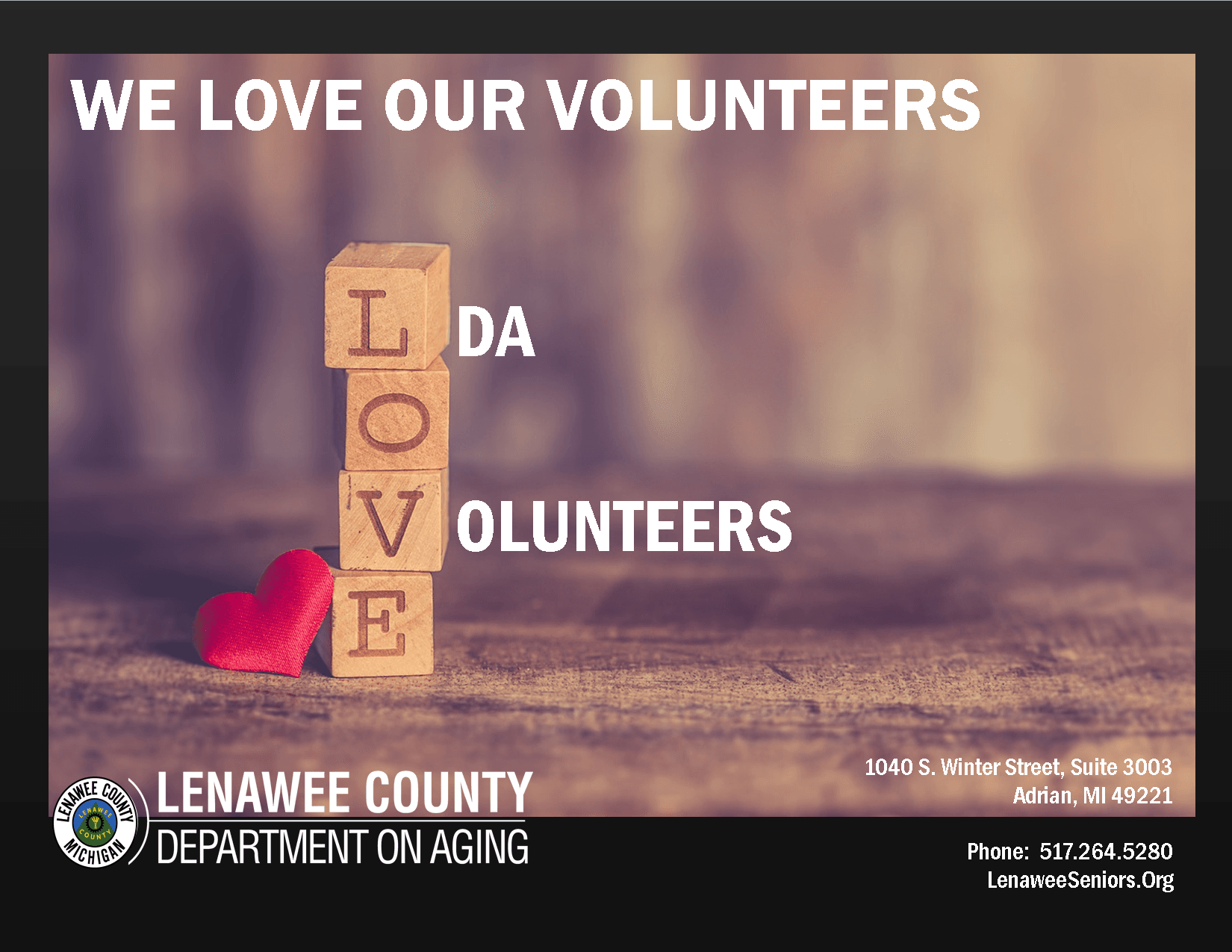 LDA VOLUNTEERS5