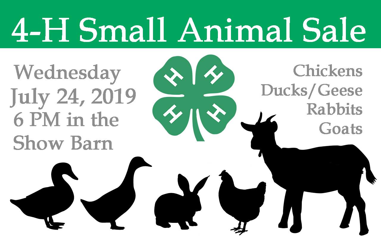 Small Animal Sale