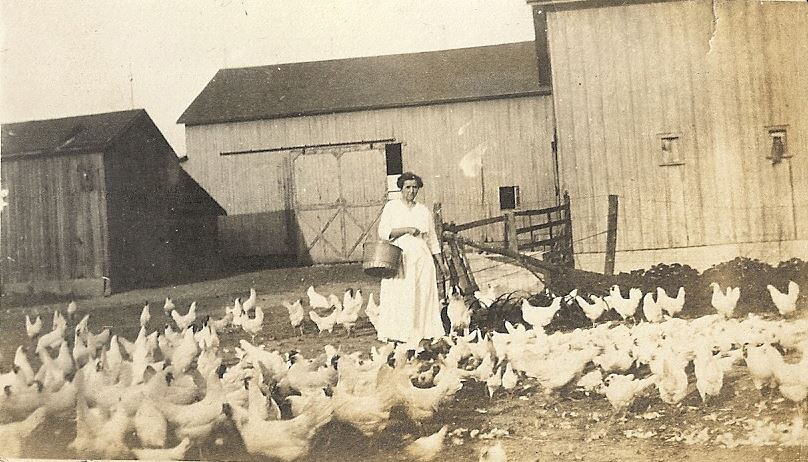 farmer from turn of the century in Lenawee County feeding chickens