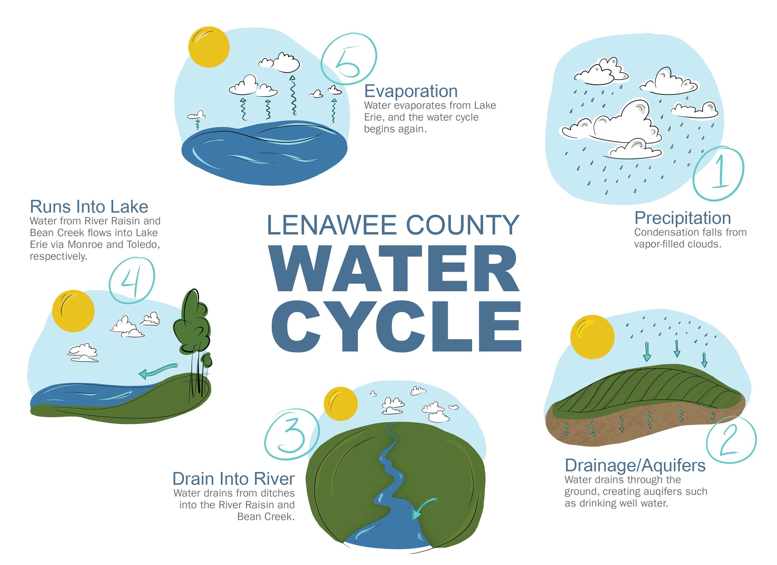illustration of water cycle in Lenawee County