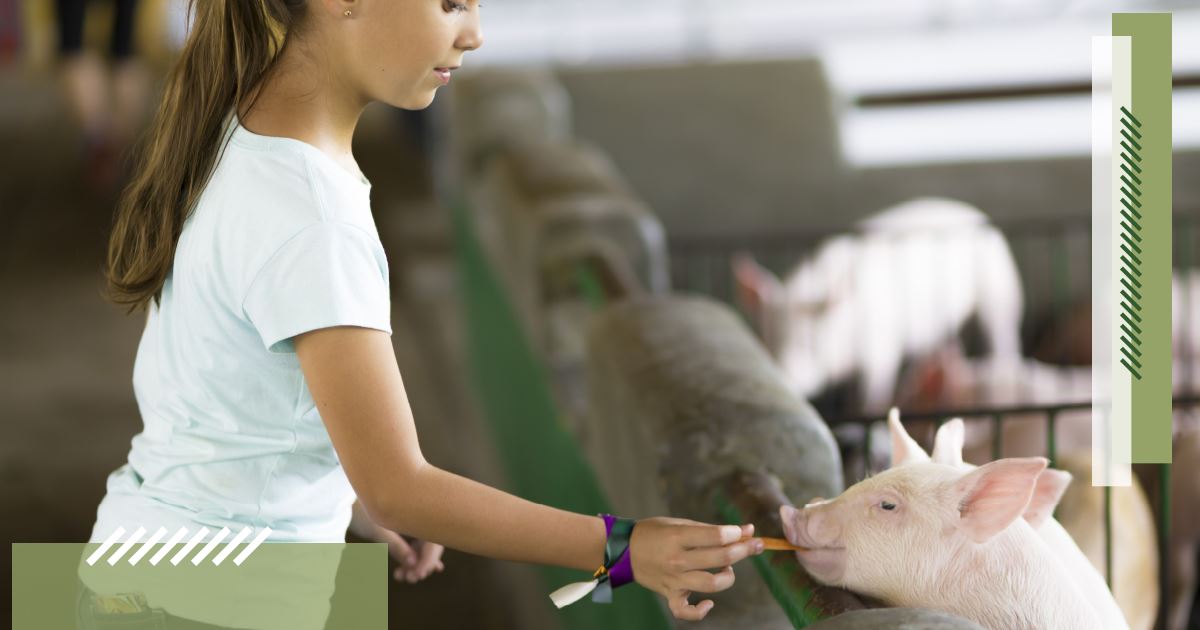 1922_building_lenawee_through_our_children_blog_article_images-5 1922_building_lenawee_through_our_children_blog_article_images-5