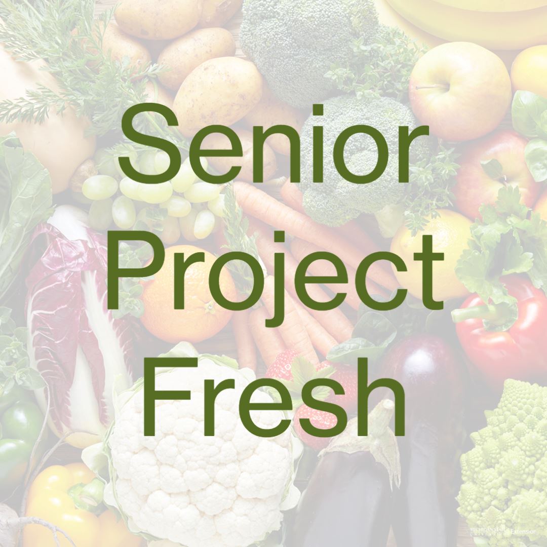 Senior Project Fresh