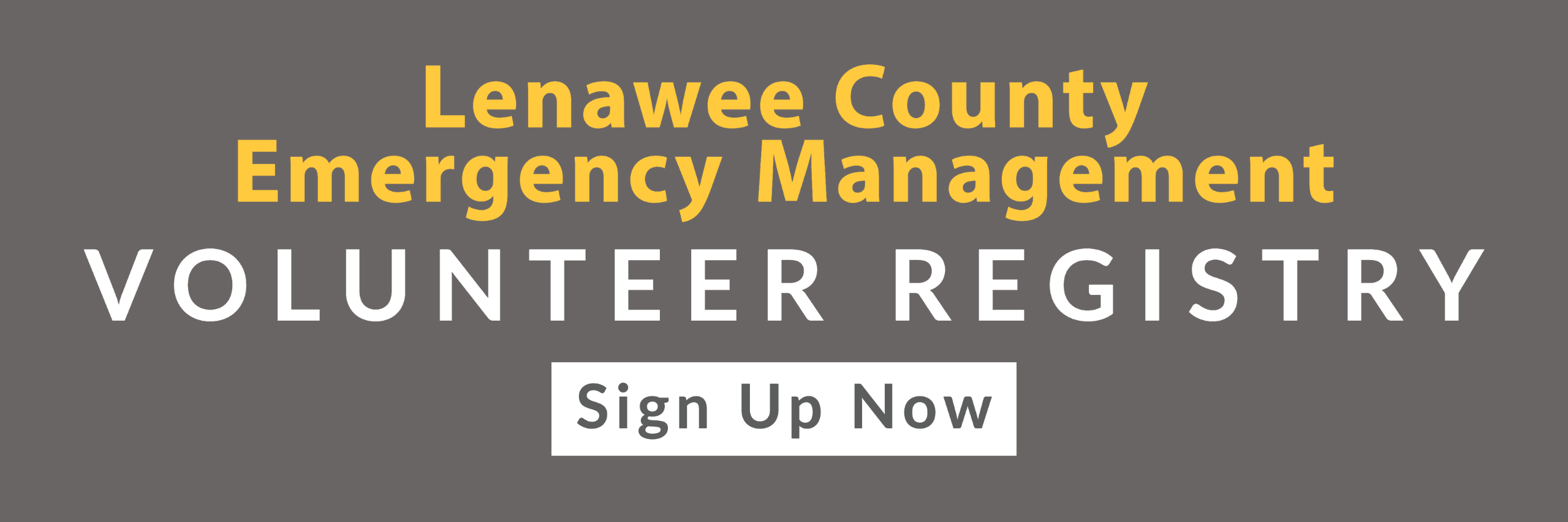 Calling for Volunteers Poster (2)